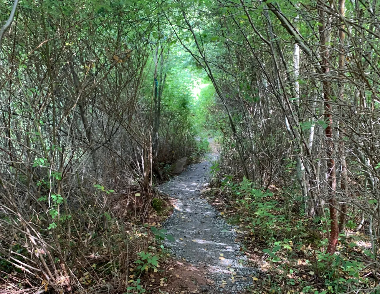 Quarry Trail