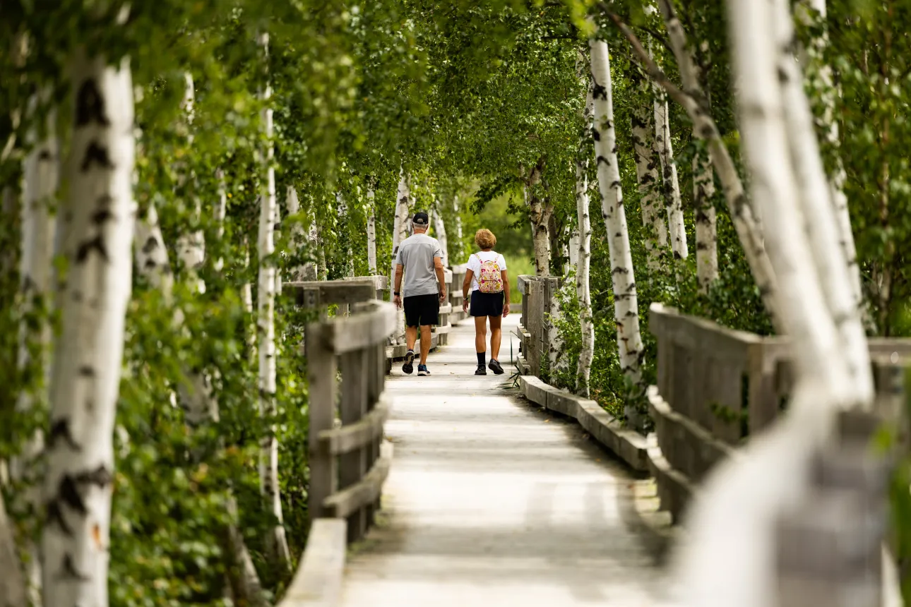 Older adults walking on boardwalk at Waterfowl Park
