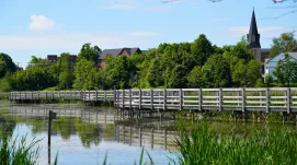 Waterfowl Park 