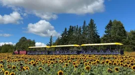 Trueman Blueberry Farms