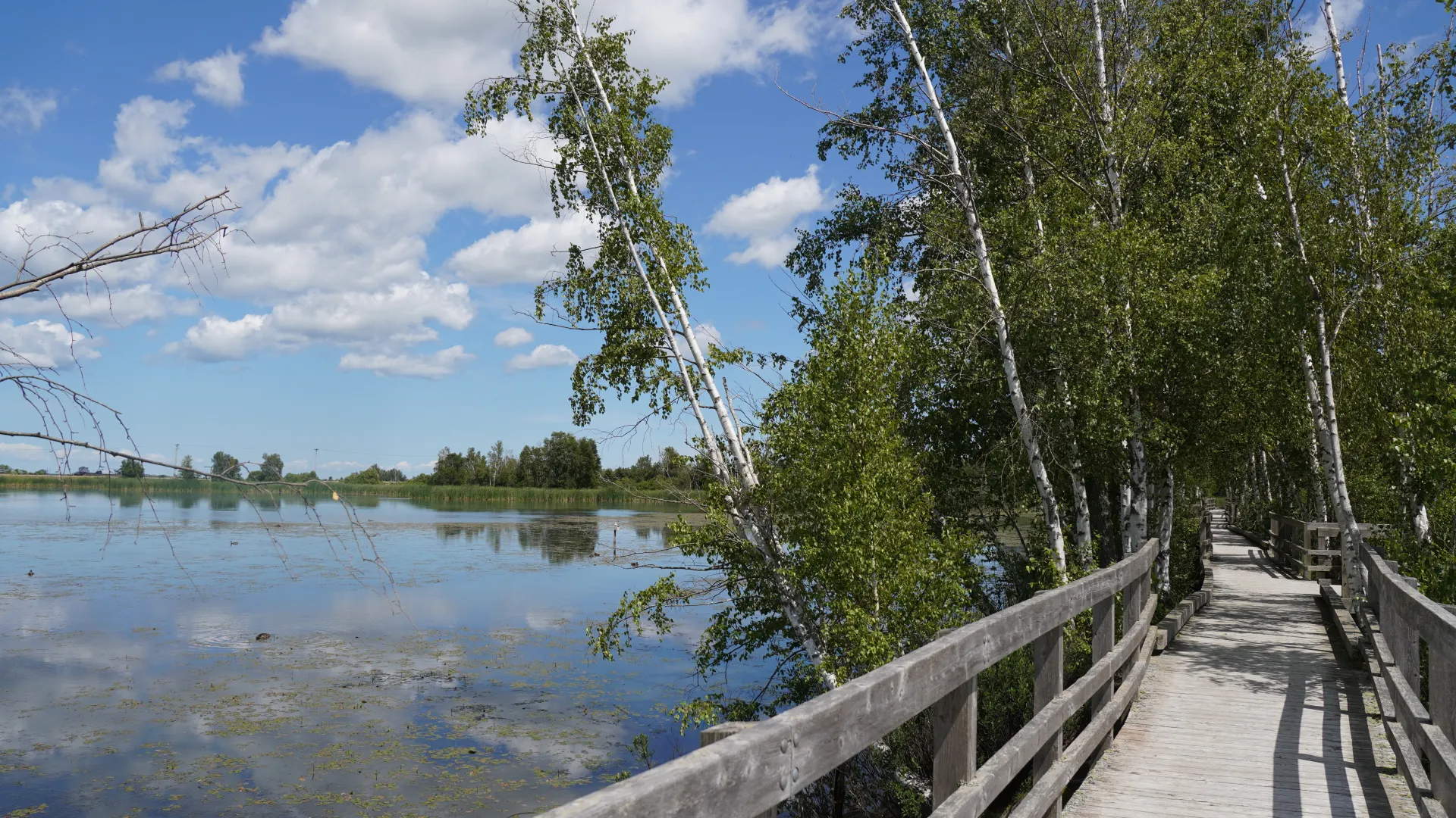 Waterfowl Park Trail