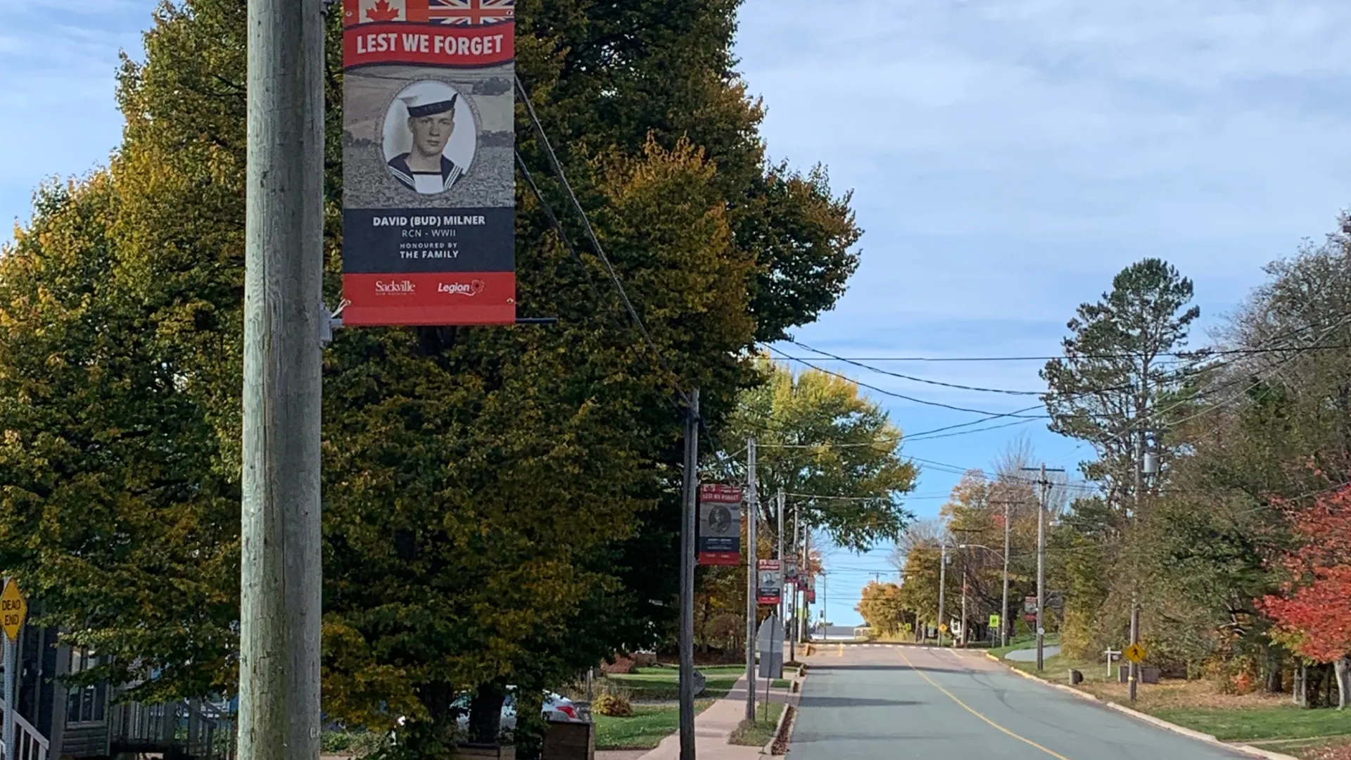 Vet Banners
