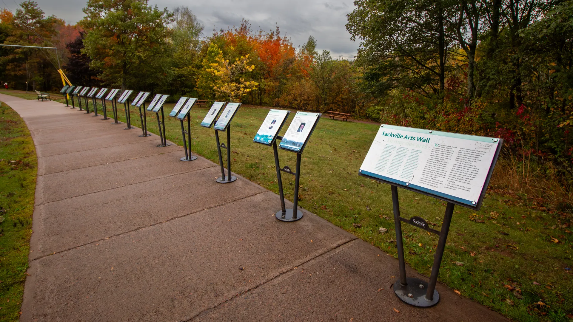 Sackville Arts Wall